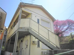 サクラオカ アサーの画像