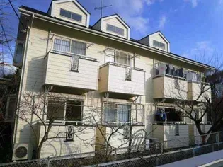 イルカミネットの画像