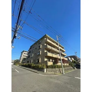 グレース代官4の画像