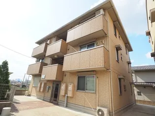 サンフラワーの画像