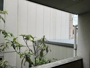 コーポAYUMI【202号室】のその他画像