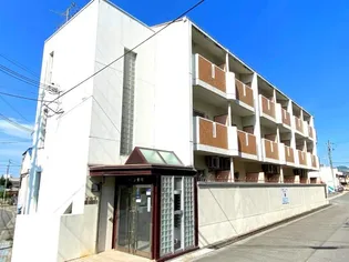 メゾン市川弐番館【507号室】の外観