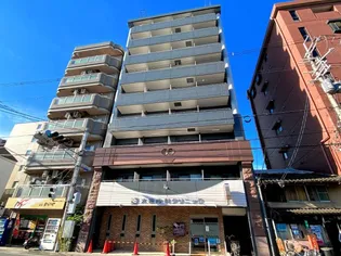 シリウス星の子の画像