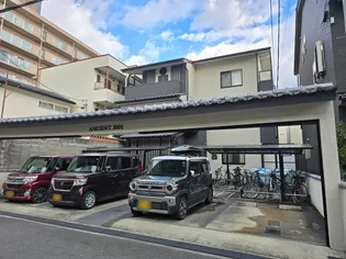 アンシエントの画像