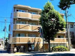 グリーンヒル紫明【3階】の外観