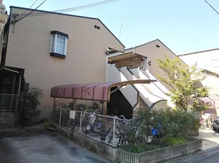 シルキーの画像
