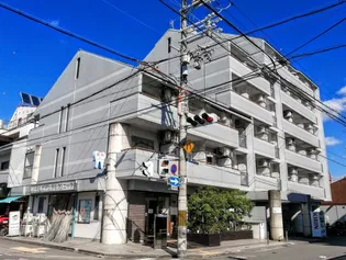 ヴィヴァーチェ智恵光院の画像