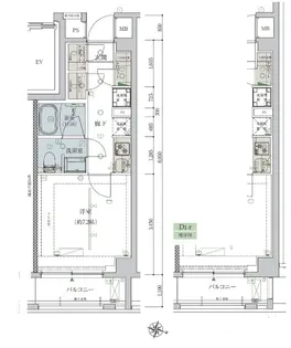 ベルシード志村坂上【6階】の間取り