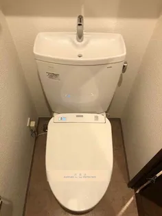 スカイコートパレス押上II【505号室】の内装