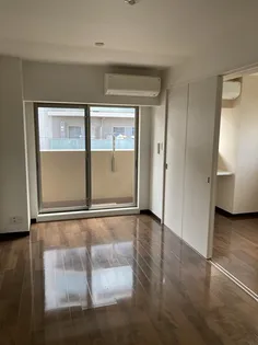 スカイコートパレス押上II【505号室】の居間