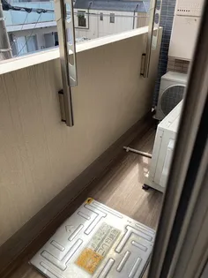 スカイコートパレス押上II【505号室】の内装