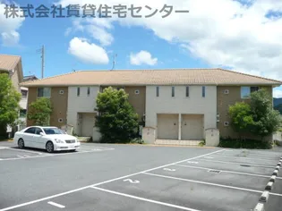 フラン コンフォートの画像