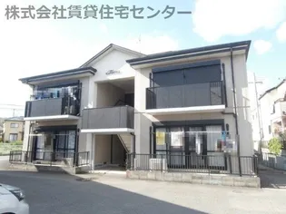 フォーレスローカットの画像