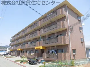 COTE DE ORANGEの画像