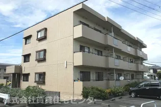 アンブリックの画像