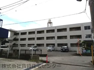 ハイツホワイト【3階】の外観