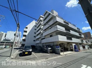 マグノリアの画像