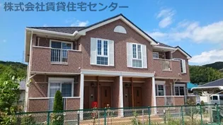 プラシードの画像