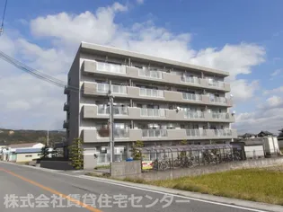 セレーナきいの画像
