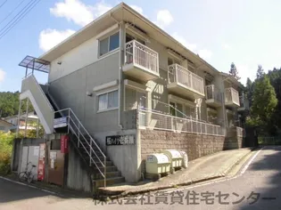 桜ハイツ壱番館【2階】の外観