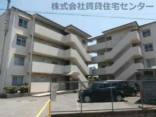 ヤマイチPLAZAシカゴの画像