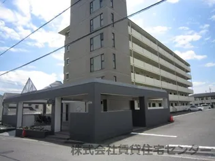 VIASACRA岩出【6階】の外観