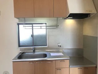 エクセレンス六十谷【1階】のキッチン