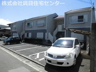 タウニィアミの画像