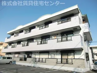 サンルーカスの画像