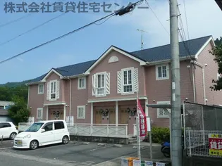エルフMAETANIの画像