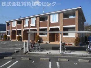 ハナミズキⅠの画像