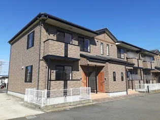 プラシードAの画像