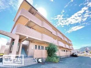 グレースハタオカの画像