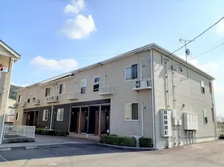 スワン KITAMURA Dの画像