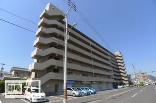 ホープスエイシの画像