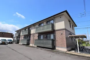 サンフラワーM Tの画像