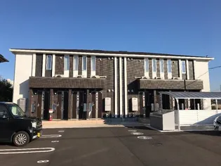 プルンバーゴの画像