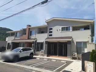 アナベルの画像