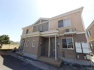 セントポーリアくすみ Cの画像