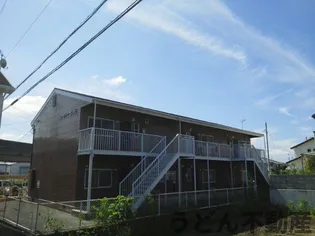 ニューシティ土器Bの画像