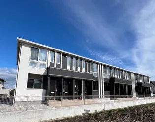 カンパニュラの画像