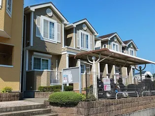 パミドーリⅡの画像