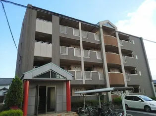 トゥリパーノの画像