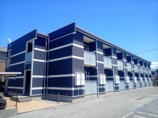 レオネクストアンジェリカの画像