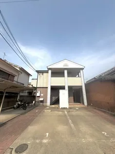 パイン フィールドの画像