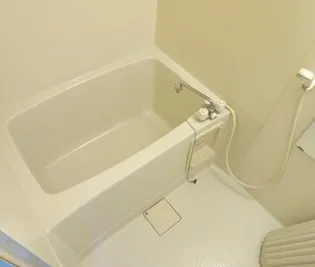 フォーブルハウス中園【A102号号室】の風呂