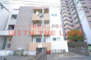 ウェリス花畑の画像