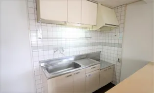 エステートモア【203号号室】のキッチン