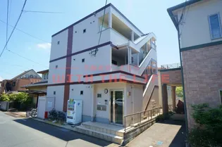 オリーヴァ花畑の画像