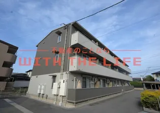 プリムローズの画像